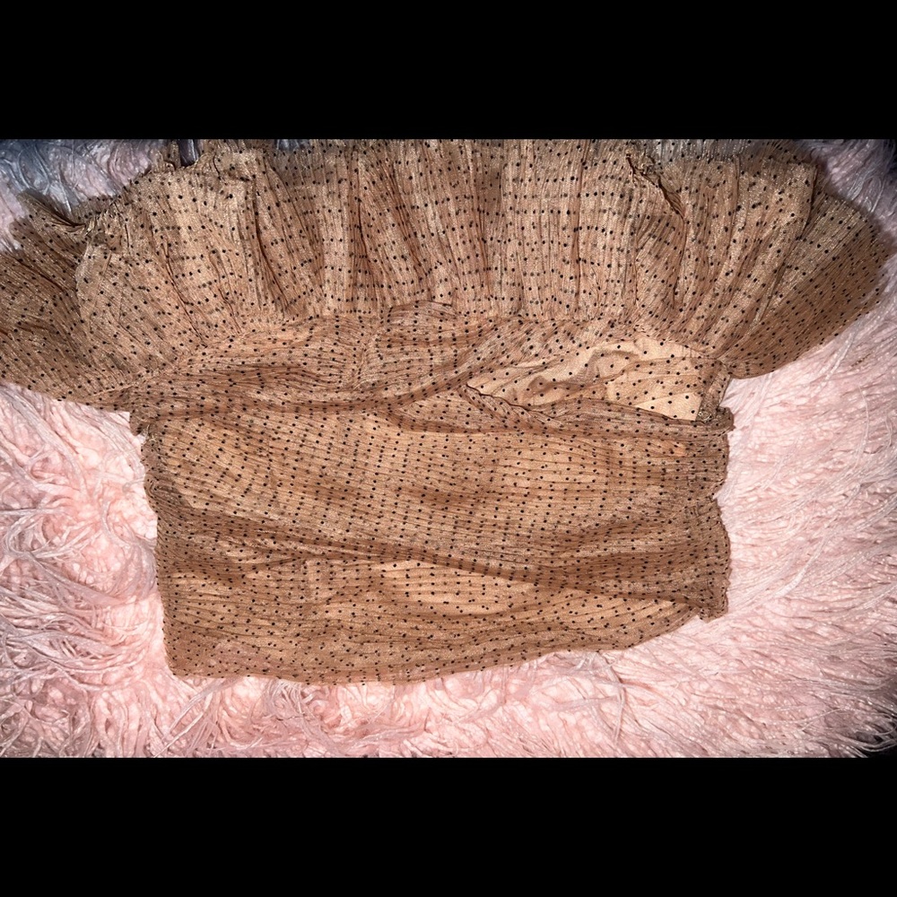 Zara Tulle Tutu Top
